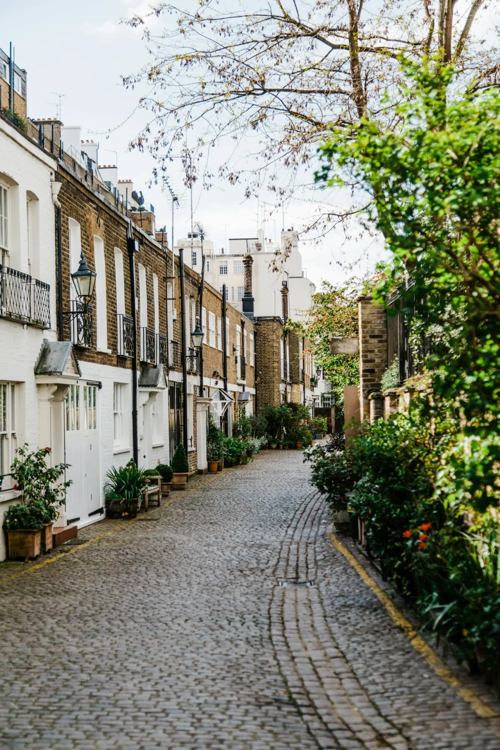 A cobbled London mews lined with white-painted houses and greenery