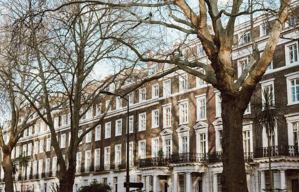 A white stucco terrace in London behind bare plane trees